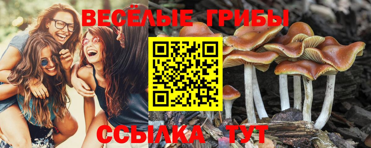 Марихуана Менделеевск