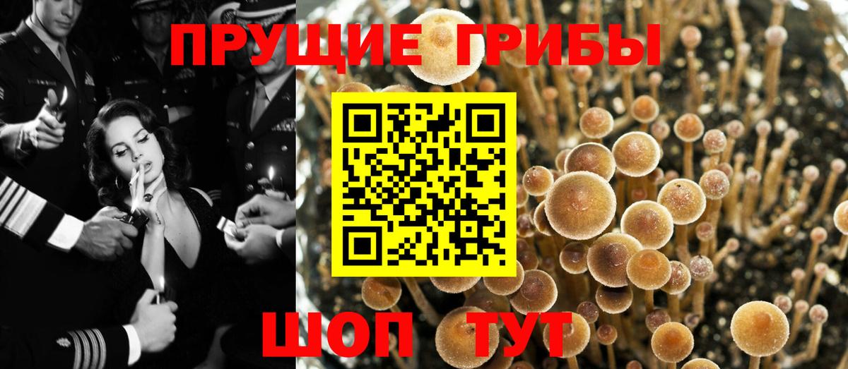 купить закладку  Галлюциногенные грибы ЛСД  Вход с VPN  Менделеевск 